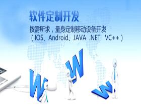 北京软件开发公司生存发展分析