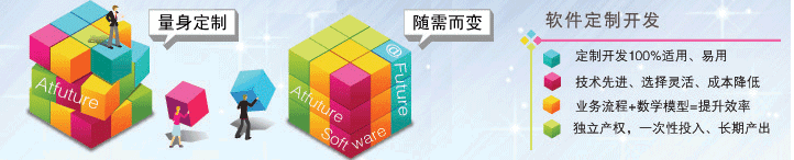 北京软件开发公司